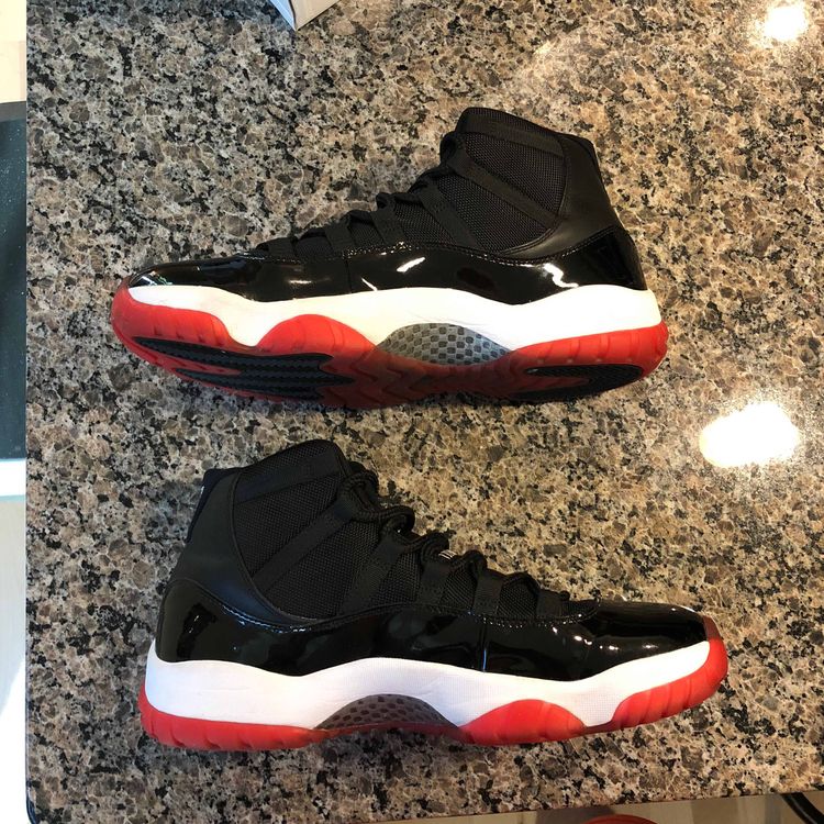 bred 11 back