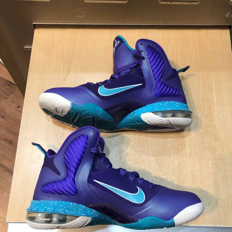 lebron 9 summit lake hornets