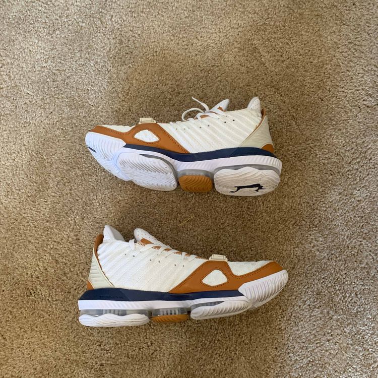 nike lebron bo trainer