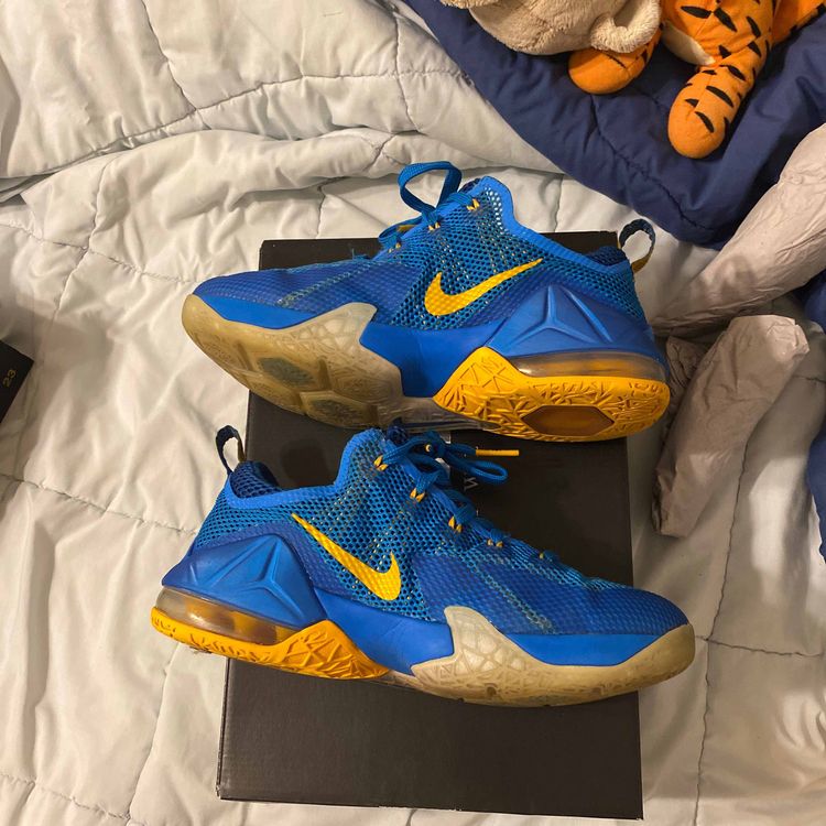 lebron 7 entourage