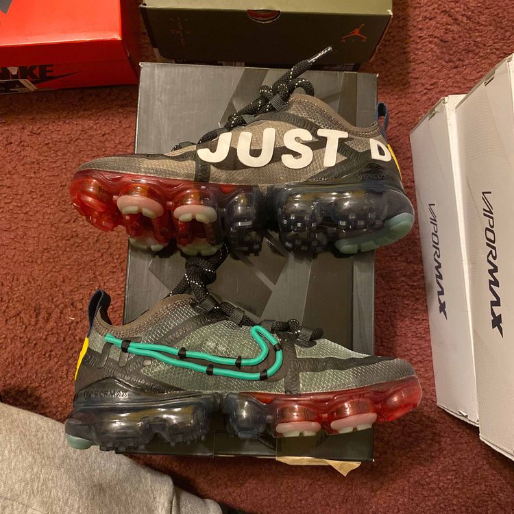 cactus plant vapor max