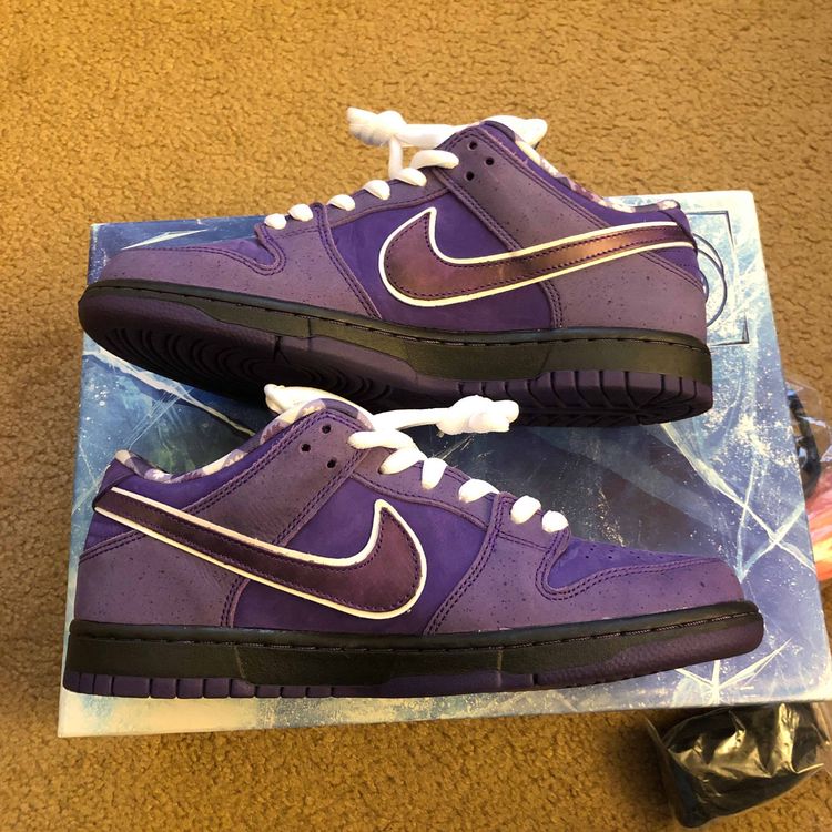 nike sb lobster special box