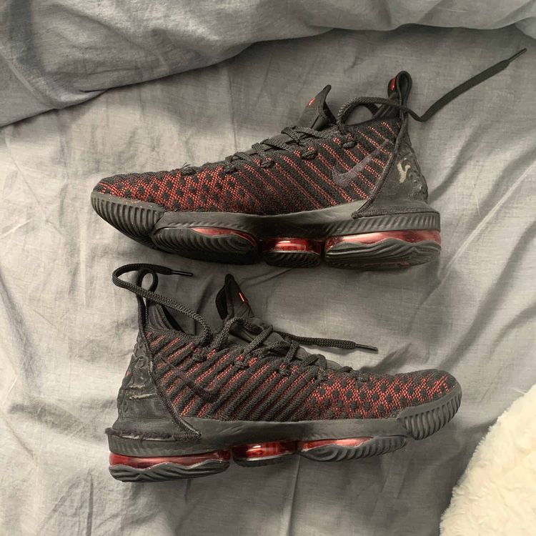 lebron bred 8