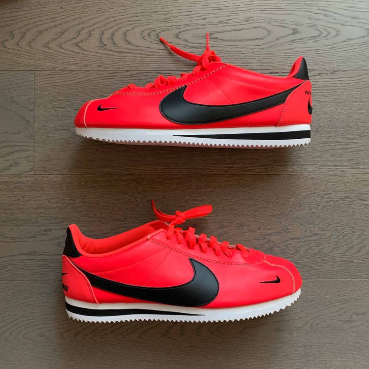red orbit cortez