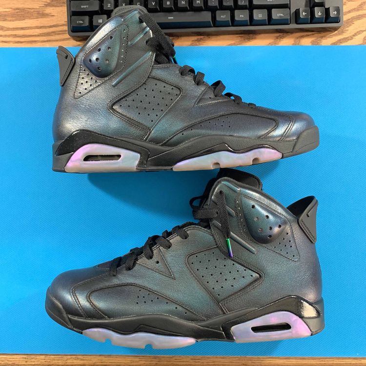 jordan 6 retro chameleon