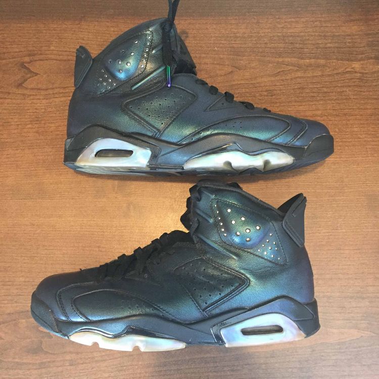 jordan chameleon 6