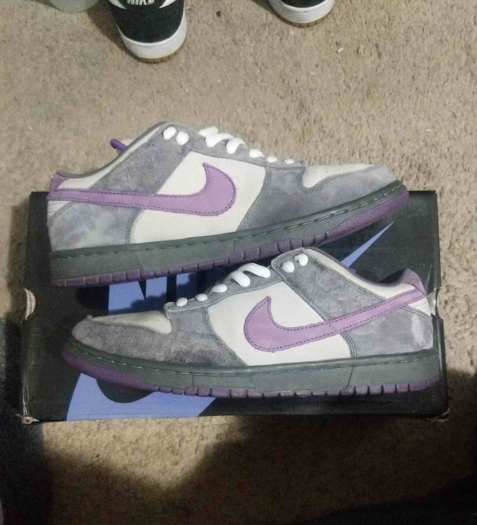 sb dunk purple pigeon