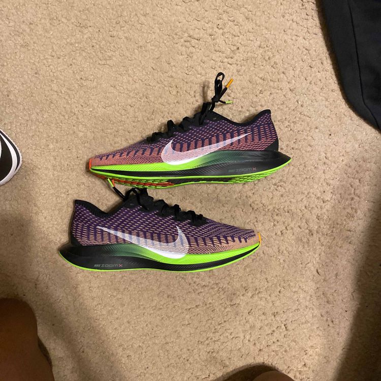 pegasus turbo 2 court purple