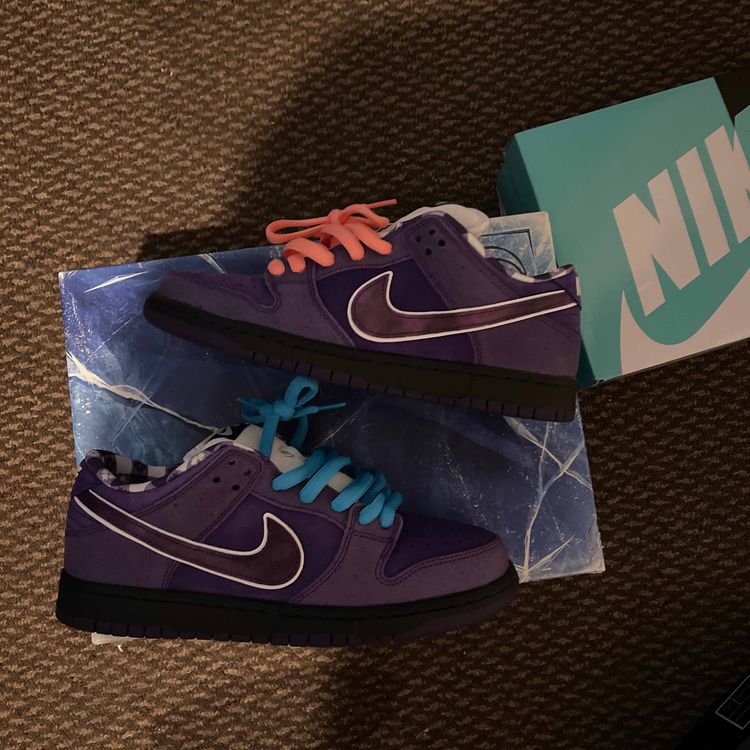 nike sb lobster special box