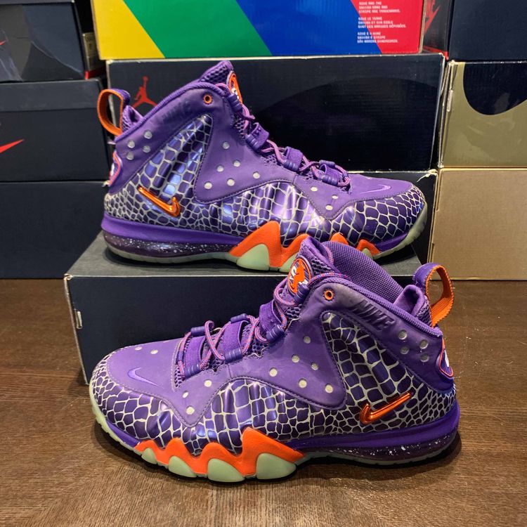 barkley posite max suns