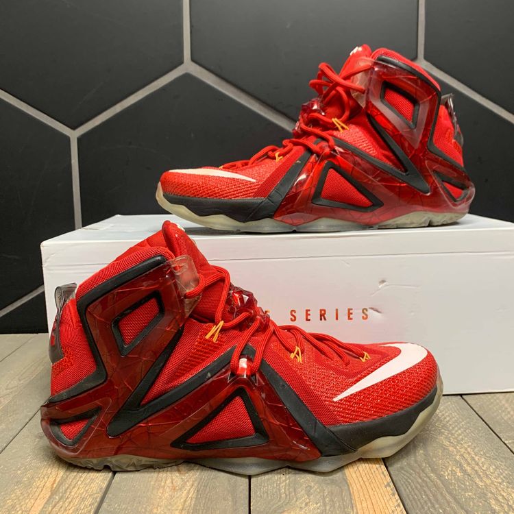 lebron 12 elite team