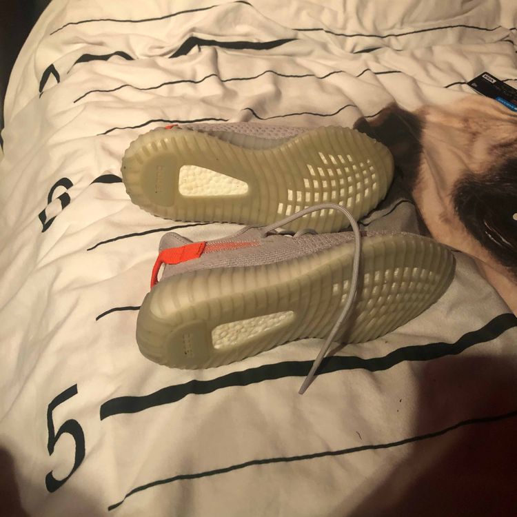 tail light yeezy goat