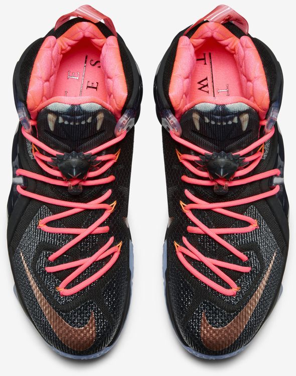 lebron 12 elite size 13