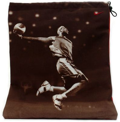lebron 5 mr basketball
