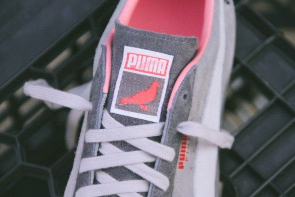 puma clyde staple pigeon