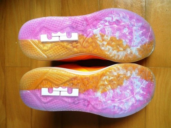 lebron 9 low floridian
