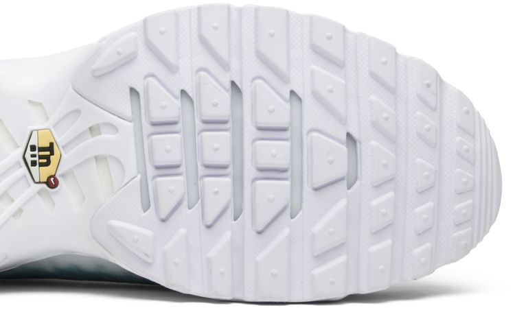 nike air max plus water pool