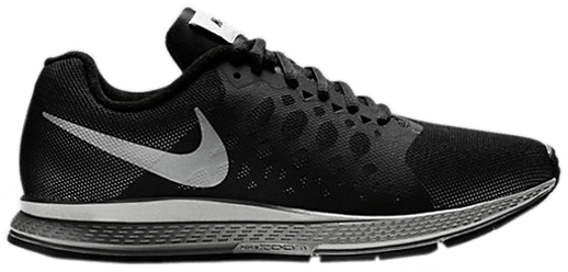 zoom pegasus 31 flash