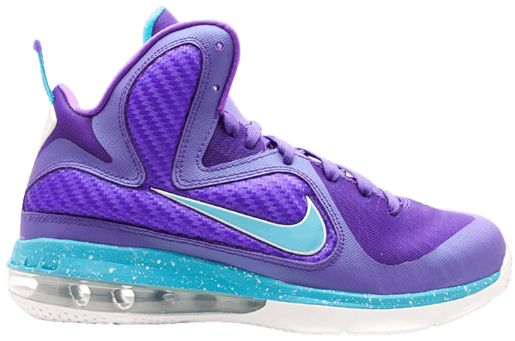 lebron 9 hornets