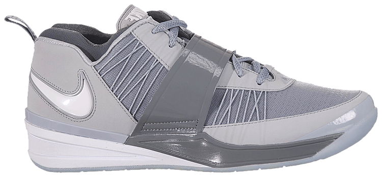 zoom revis