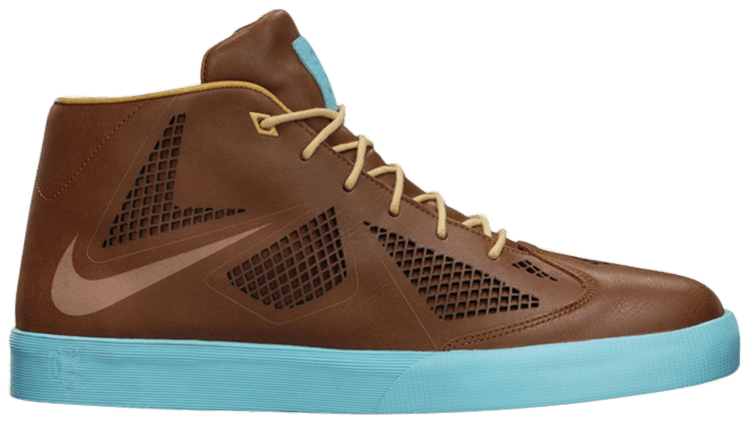 lebron 10 lifestyle