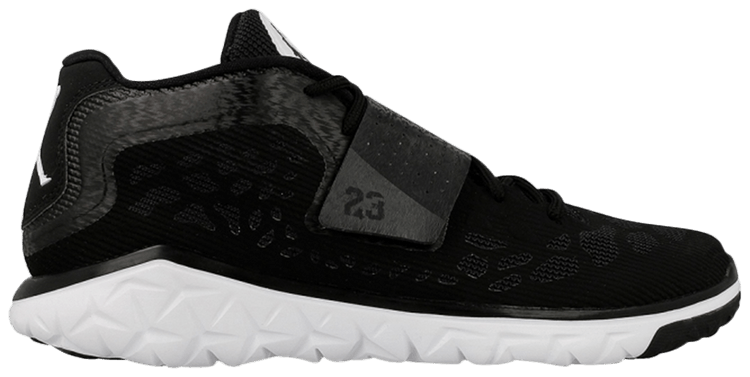 jordan flex trainer 2