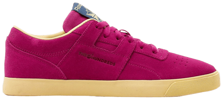 reebok workout the hundreds