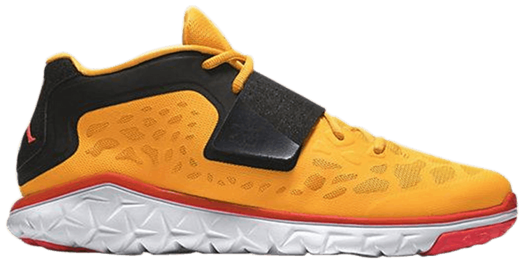 air jordan flight flex trainer 2