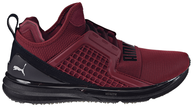 puma ignite limitless terrain
