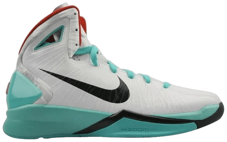 2010 hyperdunks