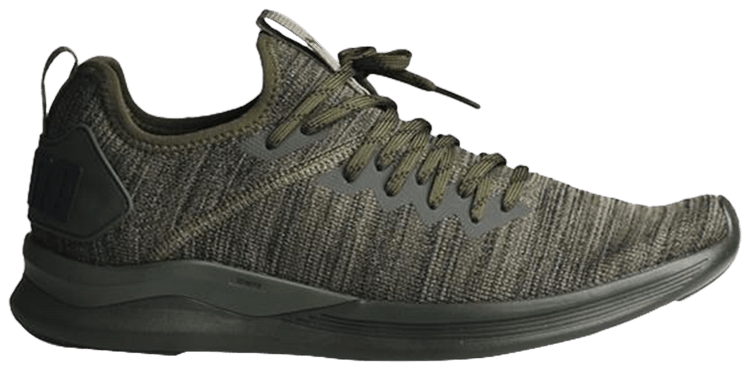 puma ignite flash evoknit forest night