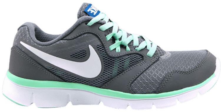 nike wmns flex experience