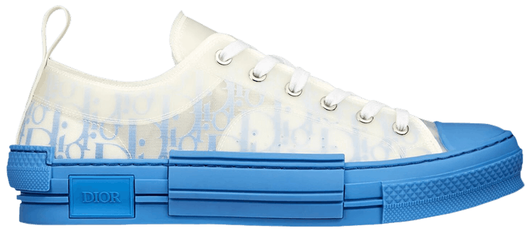 dior b23 low top blue oblique
