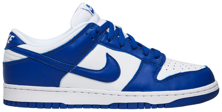 retro nike dunks