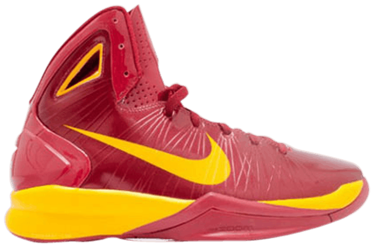 2010 hyper dunks