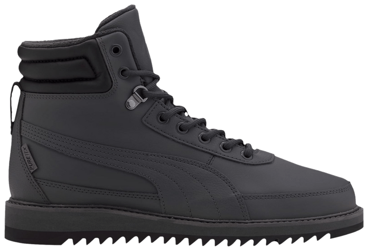 desierto v2 puma