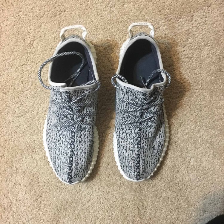 turtle dove yeezy goat