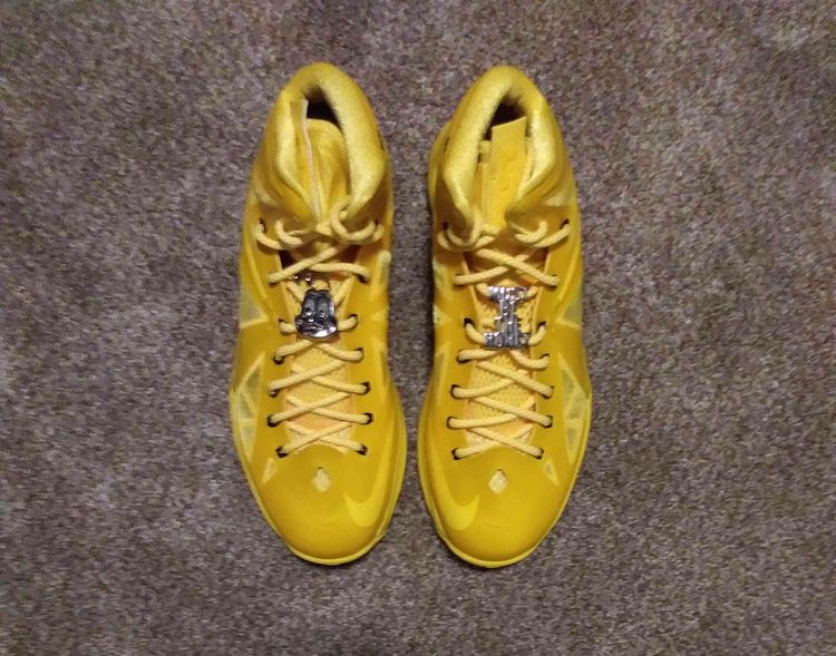 honeywell lebron 10