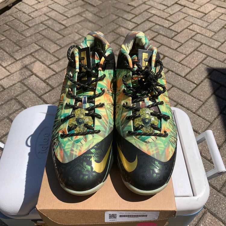 lebron 10 celebration pack