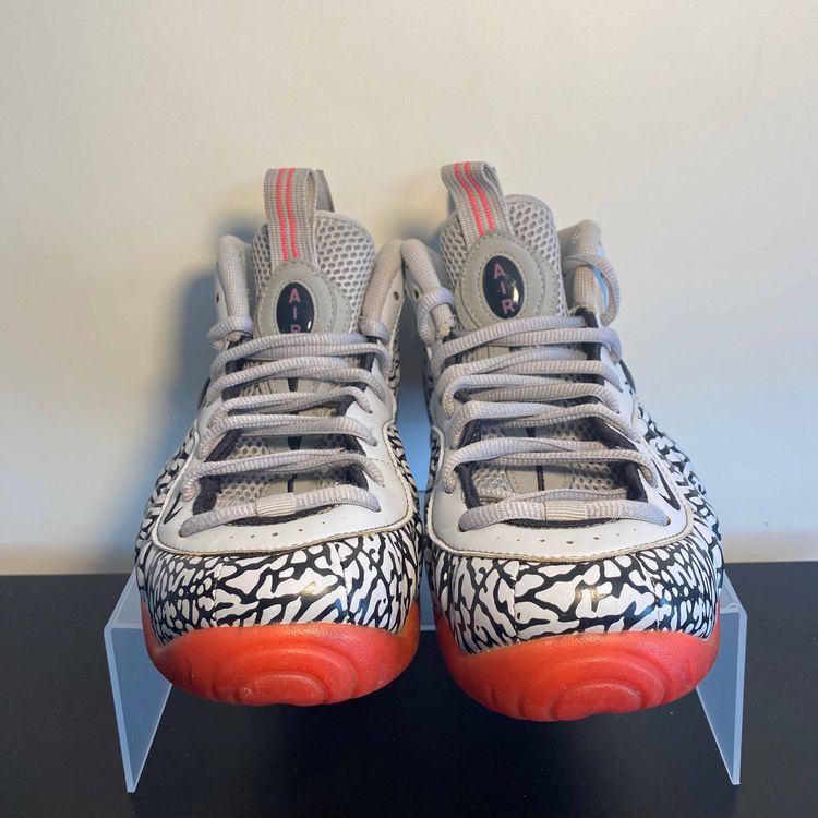 zebra print foamposites