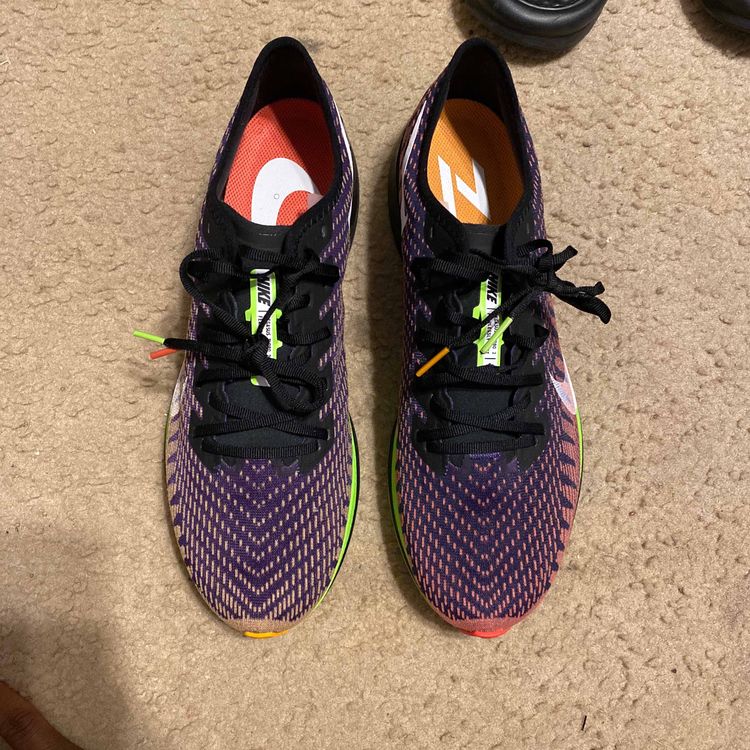 pegasus turbo 2 court purple