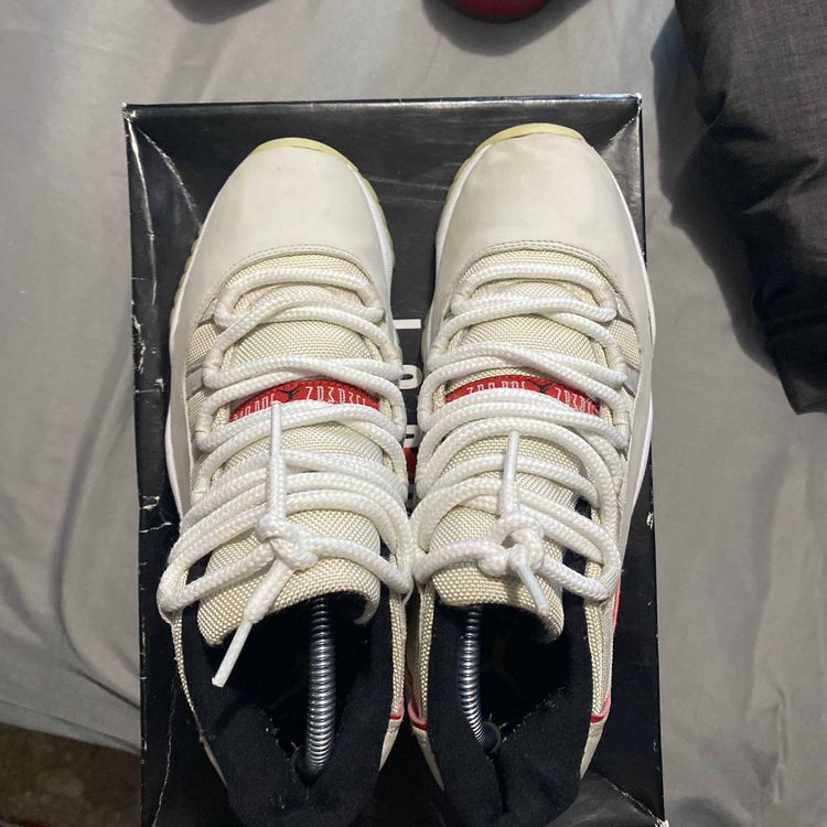 jordan 11 platinum tint goat