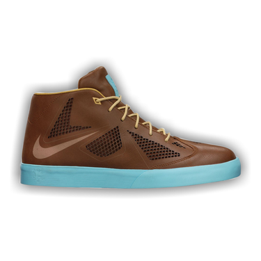 Lebron 2025 10 lifestyle