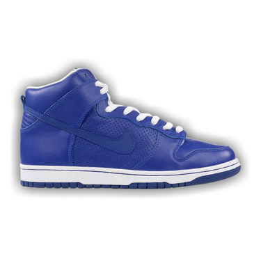 Nike Dunk High Pro SB T 19