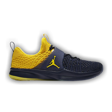 jordan flyknit trainer 2