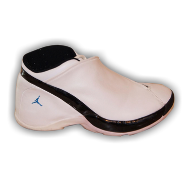 Jordan jumpman team j sales