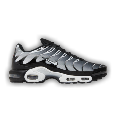 Nike Air Max Plus Black/Silver DM0032-003