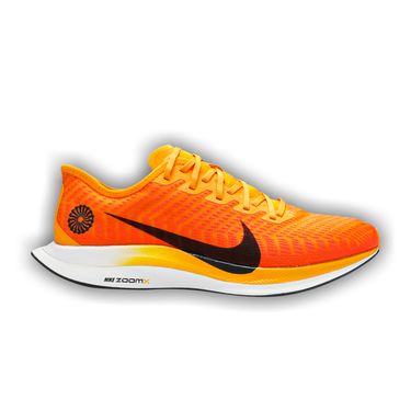 Pegasus turbo 2 deals blue ribbon sports