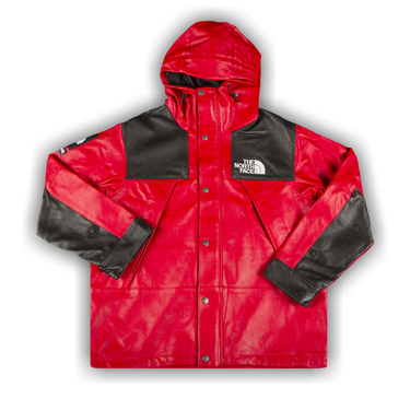 Supreme the north face leather mountain top