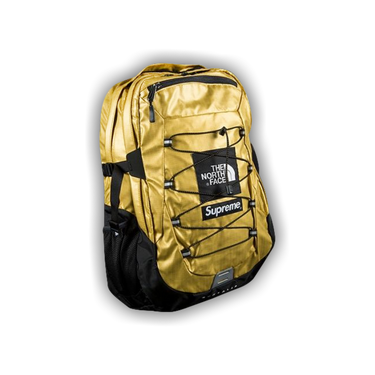 North face metallic backpack hot sale